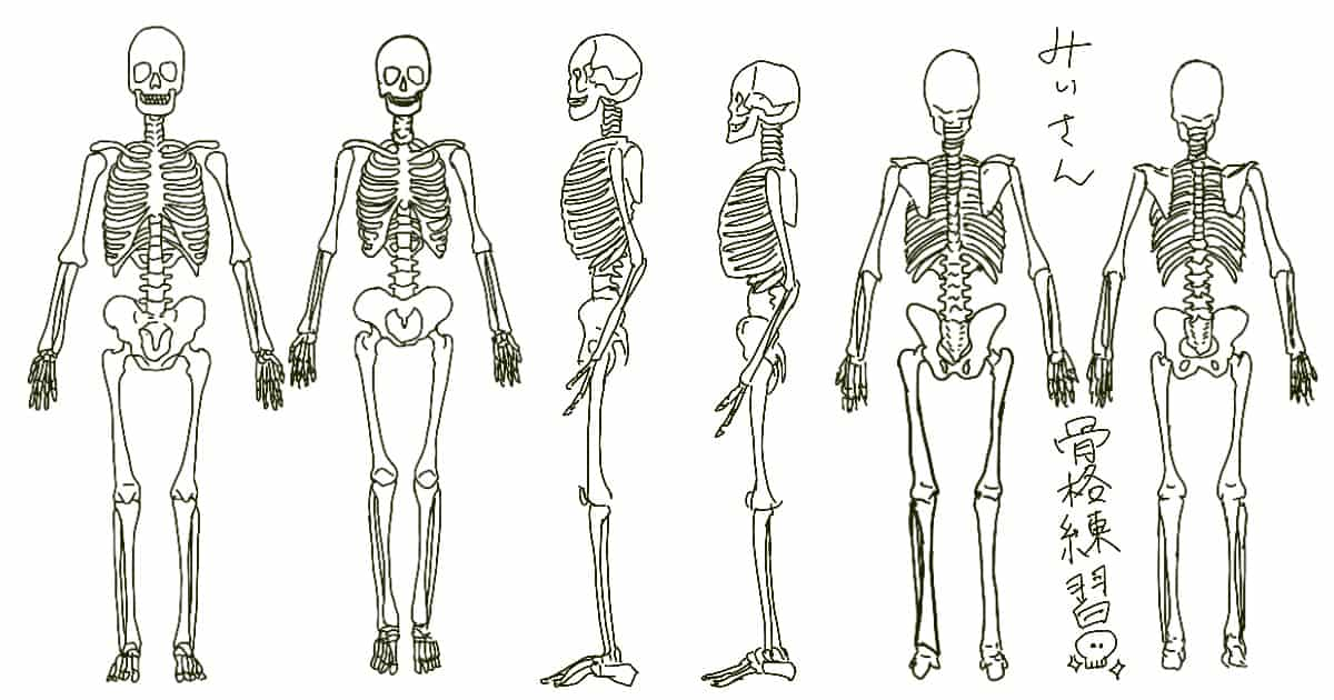 みぃさんイラストブログ第2回目 骨格トレース みぃさんイラスト